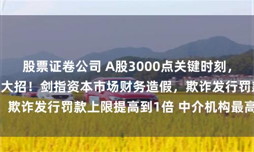 股票证卷公司 A股3000点关键时刻，证监会等6大部门放大招！剑指资本市场财务造假，欺诈发行罚款上限提高到1倍 中介机构最高判10年