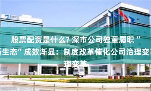 股票配资是什么? 深市公司独董履职“新生态”成效渐显：制度改革催化公司治理变革