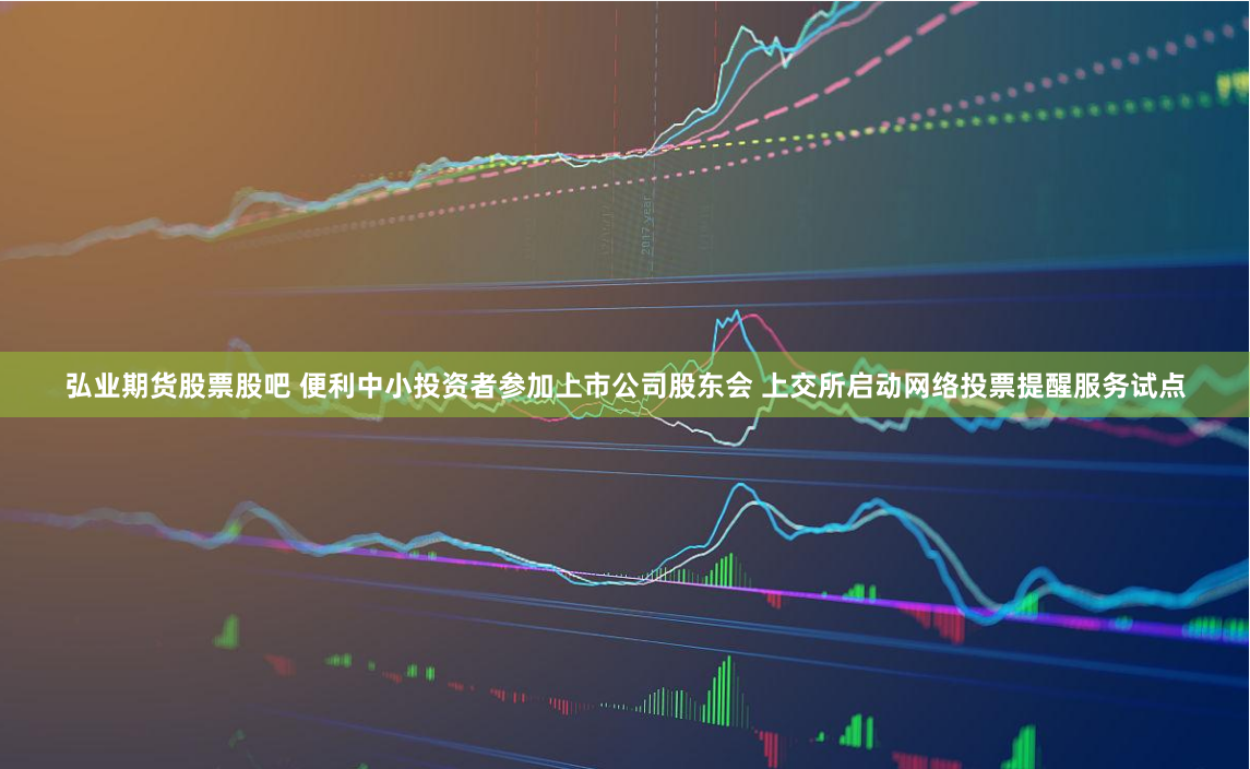 弘业期货股票股吧 便利中小投资者参加上市公司股东会 上交所启动网络投票提醒服务试点